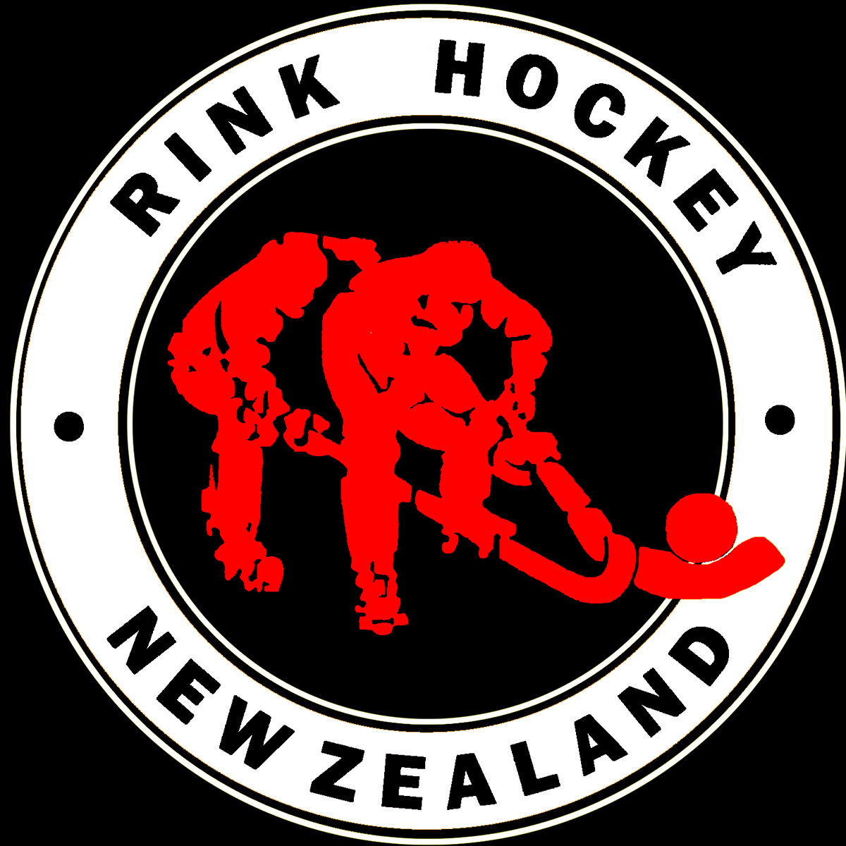 Code: Rink Hockey